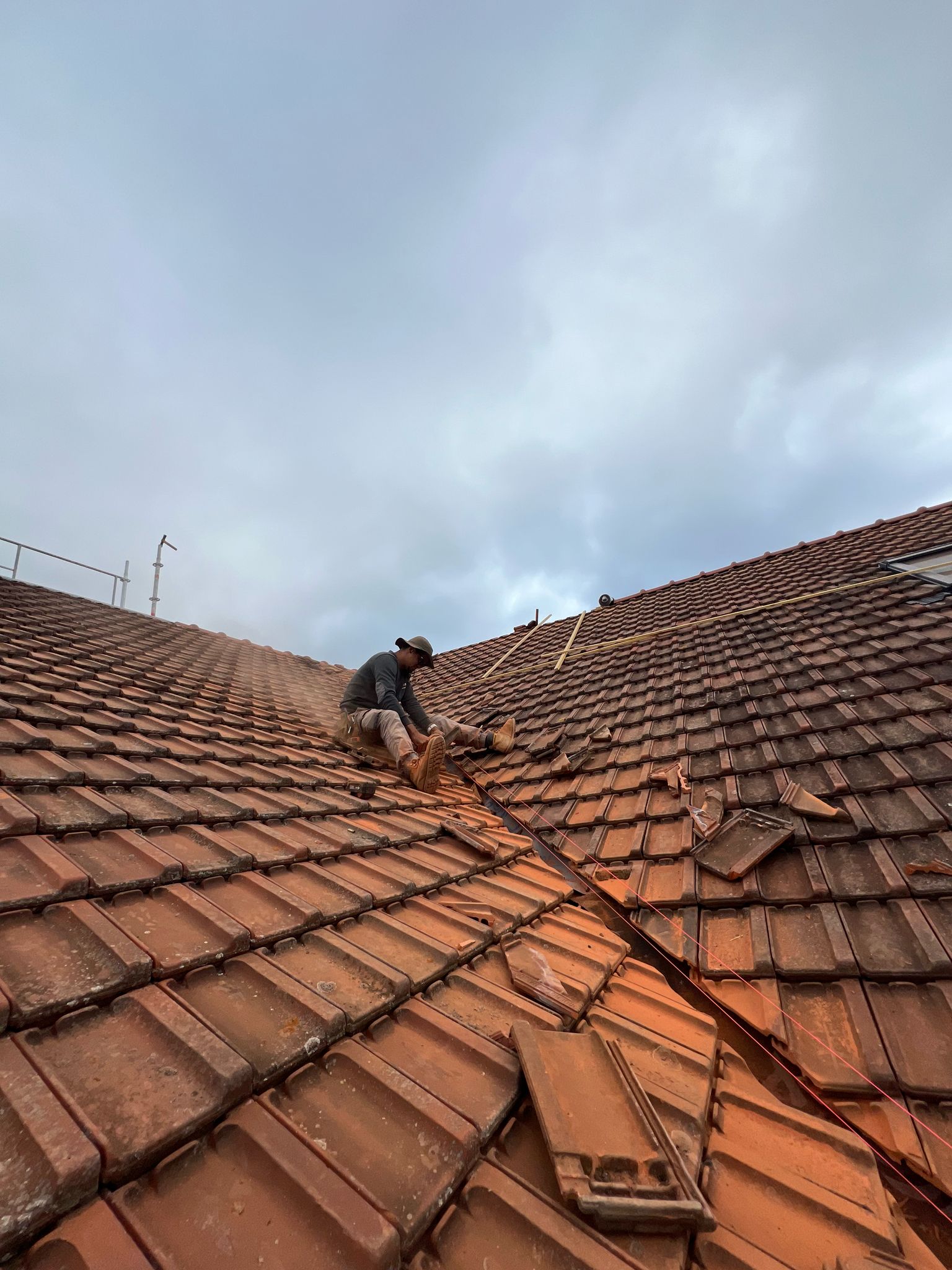 Toiture végétalisée